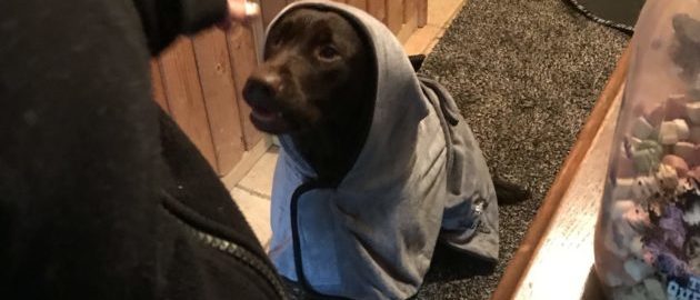 Regen